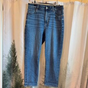 American Eagle Mom Jeans Classic Blue Denim Jeans size 10 Short